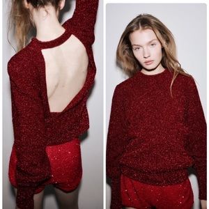 Zara Tinsel Sweater with Open Back
